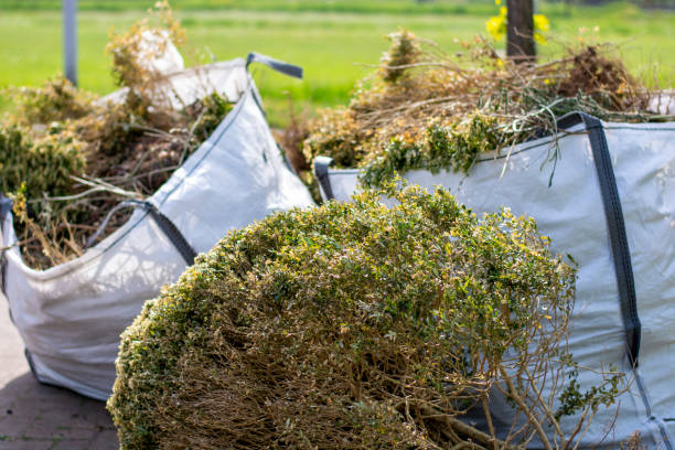 Full-Service Junk Removal in Zephyrhills West, FL